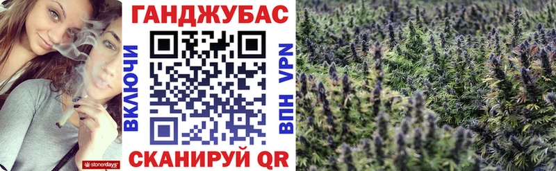 Каннабис планчик Болохово